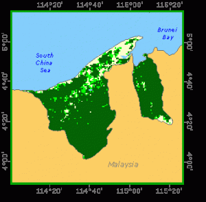 width=