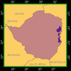  width=