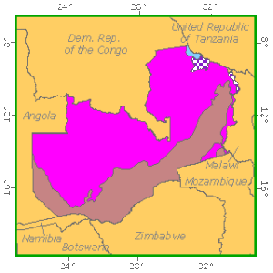 width=